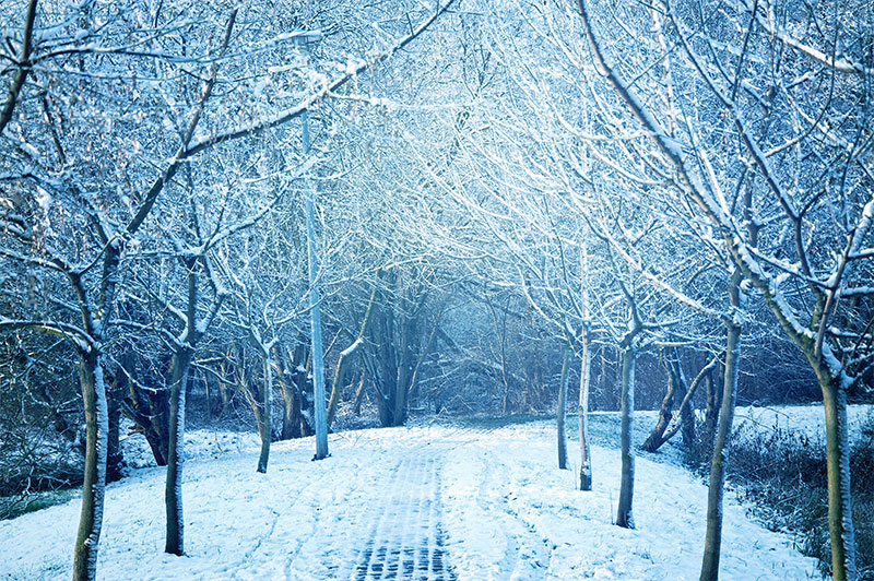 winter-image